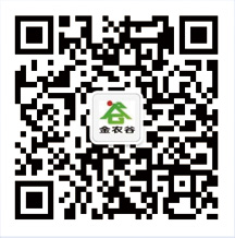 中鼎管理咨詢(xún)